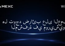 هل توجد ضرائب على العملات المشفرة في موريشيوس؟