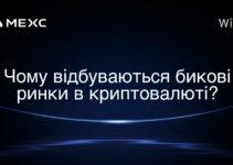 Чому відбуваються бикові ринки в криптовалюті?