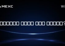 세르비아에서 암호화폐 채굴은 합법인가요?