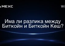Има ли разлика между Биткойн и Биткойн Кеш?