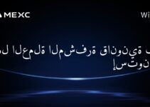 هل العملة المشفرة قانونية في إستونيا؟