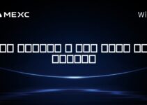 آیا کریپتو و بیت کوین یکی هستند؟