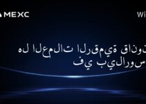 هل العملات الرقمية قانونية في بيلاروسيا؟