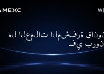 هل العملات المشفرة قانونية في بروناي؟