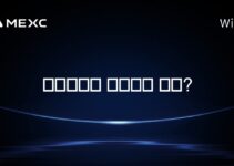 비트코인을 예측하는 방법?