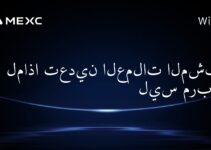 لماذا تعدين العملات المشفرة ليس مربحًا؟