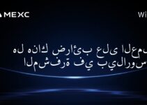 هل هناك ضرائب على العملات المشفرة في بيلاروسيا؟