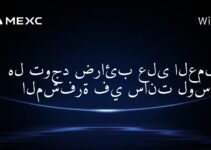 هل توجد ضرائب على العملات المشفرة في سانت لوسيا؟