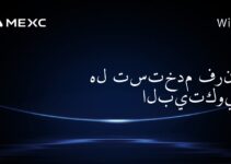 هل تستخدم فرنسا البيتكوين؟