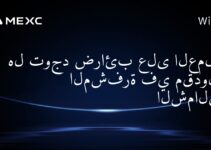هل توجد ضرائب على العملات المشفرة في مقدونيا الشمالية؟