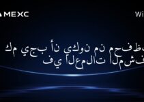 كم يجب أن يكون من محفظتك في العملات المشفرة؟