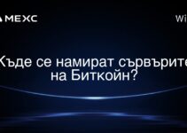 Къде се намират сървърите на Биткойн?