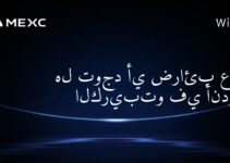 هل توجد أي ضرائب على الكريبتو في أندورا؟