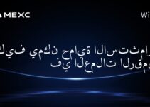 كيف يمكن حماية الاستثمارات في العملات الرقمية؟