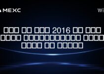 اگر در سال 2016 در بیت کوین سرمایه‌گذاری کرده بودم چه می‌شد؟