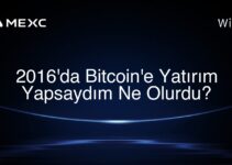 2016’da Bitcoin’e Yatırım Yapsaydım Ne Olurdu?