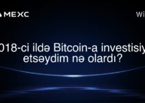 2018-ci ildə Bitcoin-a investisiya etsəydim nə olardı?