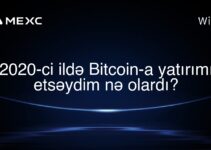 2020-ci ildə Bitcoin-a yatırımı etsəydim nə olardı?