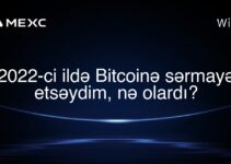 2022-ci ildə Bitcoinə sərmayə etsəydim, nə olardı?