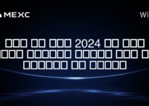 如果我在2024年投资比特币会怎样？