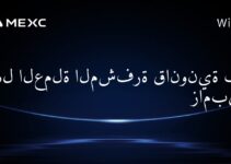 هل العملة المشفرة قانونية في زامبيا؟