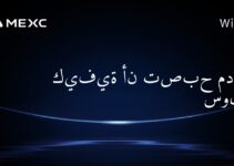 كيفية أن تصبح مدقق سولانا