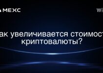 Как увеличивается стоимость криптовалюты?