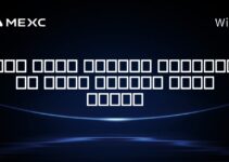 آیا برای ارزهای دیجیتال در هلند مالیات وجود دارد؟