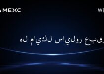 هل مايكل سايلور عبقري؟
