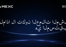لماذا لا تكون العملات المشفرة هي المستقبل؟