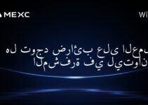 هل توجد ضرائب على العملات المشفرة في ليتوانيا؟