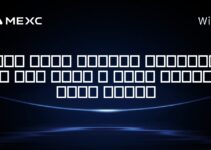 آیا برای ارزهای دیجیتال در سنت کیتس و نویس مالیات وجود دارد؟