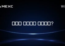 마이클 세일러는 천재인가?
