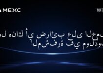 هل هناك أي ضرائب على العملات المشفرة في مولدوفا؟