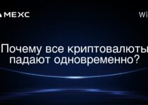 Почему все криптовалюты падают одновременно?