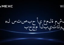 هل ستصبح أي عملة مشفرة بحجم البيتكوين؟