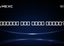 키프로스에서 크립토 마이닝은 합법인가요?