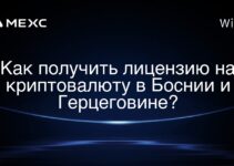 Как получить лицензию на криптовалюту в Боснии и Герцеговине?