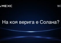 На коя верига е Солана?