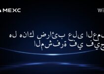 هل هناك ضرائب على العملات المشفرة في فيجي؟