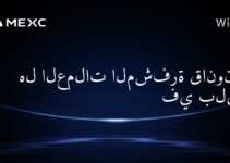 هل العملات المشفرة قانونية في بليز؟