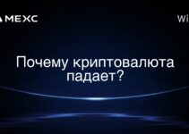 Почему криптовалюта падает?