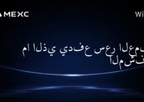 ما الذي يدفع سعر العملات المشفرة؟