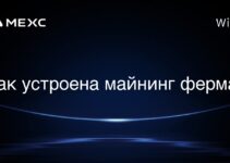Как устроена майнинг ферма?