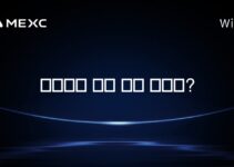 암호화폐 세금 신고 방법은?