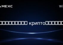 在刚果民主共和国， крипто挖矿合法吗？
