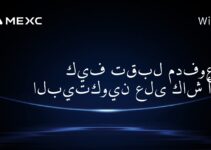 كيف تقبل مدفوعات البيتكوين على كاش أب؟