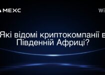 Які відомі криптокомпанії в Південній Африці?