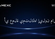 أي عملة يمتلكها إيلون ماسك