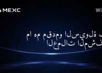 ما هم مقدمو السيولة في العملات المشفرة؟
